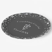 Veterinarian Graduation Grey Silver Pappteller (Schrägansicht)