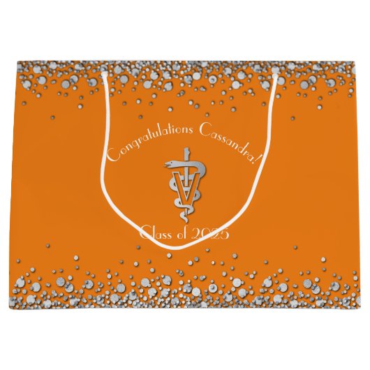 Veterinarian Graduation Orange Silver Große Geschenktüte (Vorderseite)