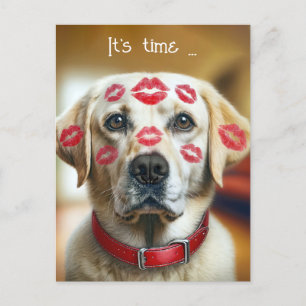 Veterinarian Labrador Retriever Kisses Postkarte