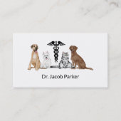 Veterinärklinische Visitenkarte (Vorderseite)