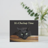Veterinärkontrolle Funny Black Cat Postkarte (Stehend Vorderseite)