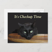 Veterinärkontrolle Funny Black Cat Postkarte (Vorne/Hinten)