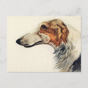 Veterinärmedizinische Erinnerung Postkarte