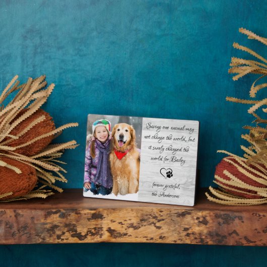 Veterinärmedizinisches Foto Fotoplatte (Seite)