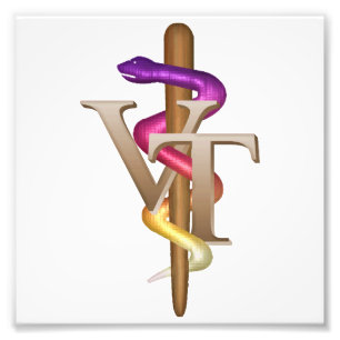 VeterinärTechnologie Fotodruck