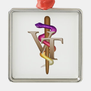 VeterinärTechnologie Silbernes Ornament