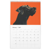 Veterinary Clinic Dog Kalender (Feb 2027)