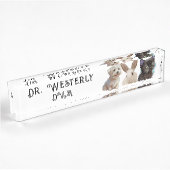 Veterinary DVM Dog Cat Bunny Namensplakette