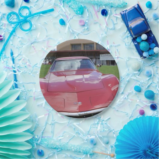 Vette Pappteller (Party)