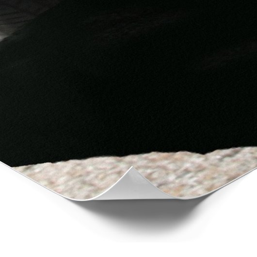 "Vette Poster (Ecke)