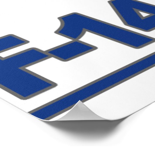 VF-213 Blacklions Print Poster (Ecke)