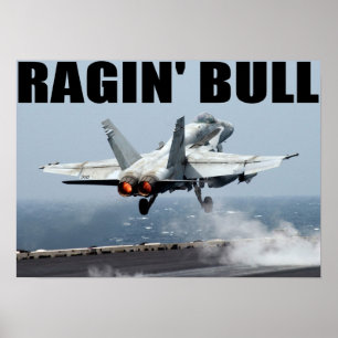 VFA-37 Ragin Stier Poster