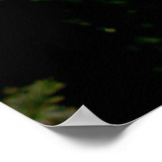 Via Floral Poster (Ecke)