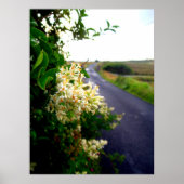 Via Floral Poster (Vorne)