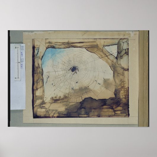 Vianden durch das Web einer Spinne Poster (Vorne)