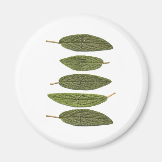 VIBIRNUM verlasse PEACE Magnet (Vorne)