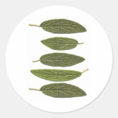 VIBIRNUM verlasse PEACE Runder Aufkleber (Vorderseite)