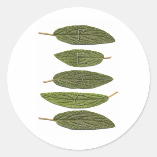 VIBIRNUM verlasse PEACE Runder Aufkleber (Vorderseite)