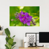 Vibranly Violet Spiderwort Wildblume Poster (Heimbüro)