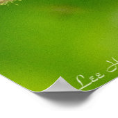 Vibranly Violet Spiderwort Wildblume Poster (Ecke)