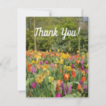 Vibrannt Tulip Garden Danke Karte