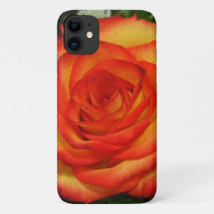 Vibranntes Macro-Foto für Rot und Peach-Rose Case-Mate iPhone Hülle