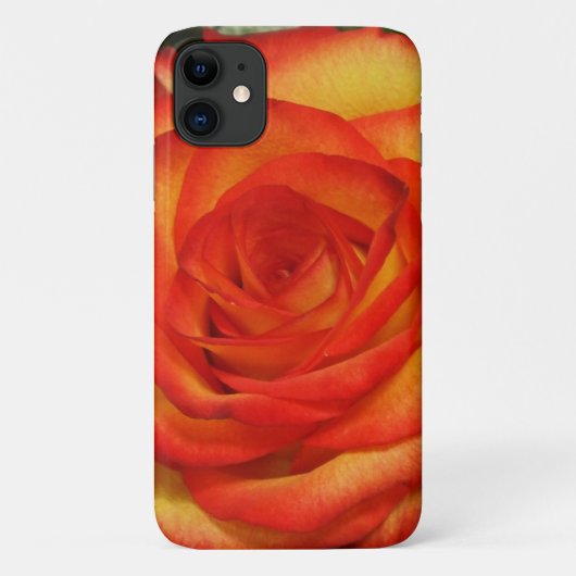 Vibranntes Macro-Foto für Rot und Peach-Rose Case-Mate iPhone Hülle (Rückseite)