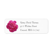 Vibranntes Pink Peony Blume Rückgabeadresse-Label