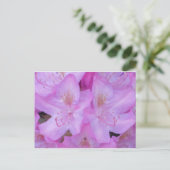 Vibranntrosa florale Postkarte (Stehend Vorderseite)