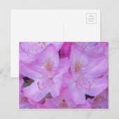 Vibranntrosa florale Postkarte (Vorne/Hinten)