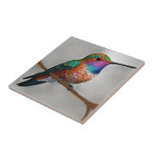 Vibrant Allen’s Hummingbird Painting Fliese (Seite)