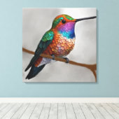 Vibrant Allen’s Hummingbird Painting Leinwanddruck (Insitu (Holzboden))