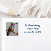 Vibrant Allen's Hummingbird-Malerei (Insitu)