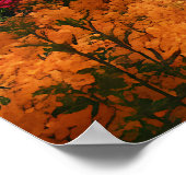 Vibrant Blossom Tree Garden Paradise View Poster (Ecke)