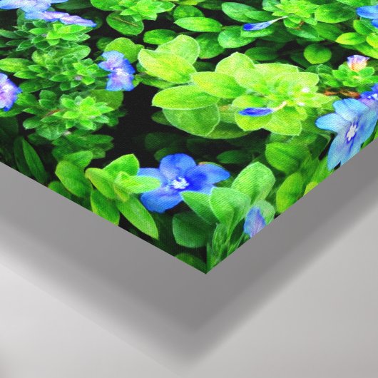 Vibrant blue flowers leinwanddruck (Ecke(Unten))