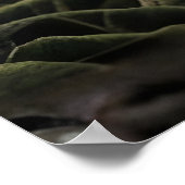 Vibrant Chromatic Lily - Fine Art Botanical Poster (Ecke)