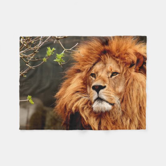 Vibrant colourful Close-up Lion picture Fleecedecke (Vorderseite (Horizontal))