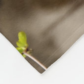 Vibrant colourful Close-up Lion picture Fleecedecke (Ecke)