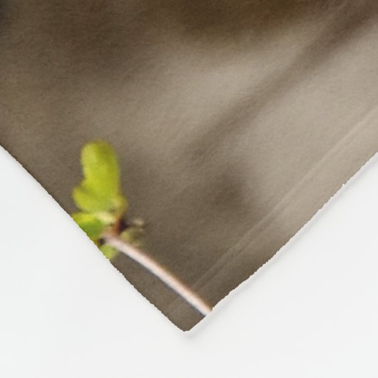 Vibrant colourful Close-up Lion picture Fleecedecke (Ecke)