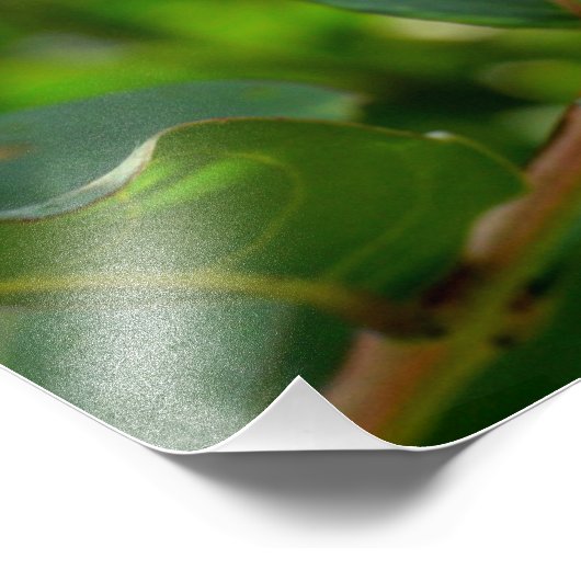 Vibrant Crepe Myrtle Tree Fotodruck (Ecke)