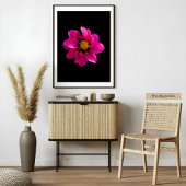 Vibrant Dahlia Fotodruck