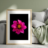 Vibrant Dahlia Fotodruck
