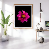 Vibrant Dahlia Fotodruck