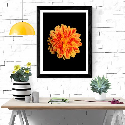 Vibrant Dahlia Fotodruck