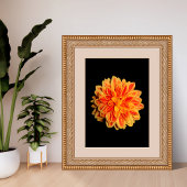 Vibrant Dahlia Fotodruck