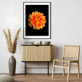 Vibrant Dahlia Fotodruck