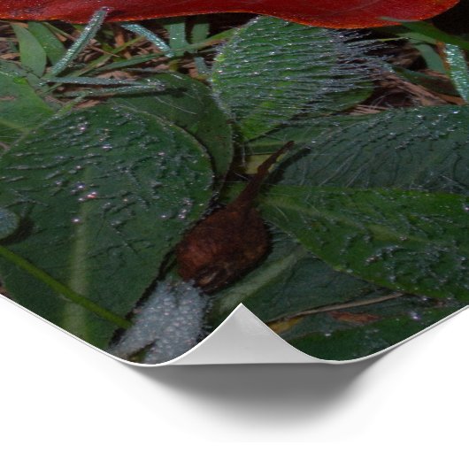 Vibrant Fall Leaves Poster (Ecke)