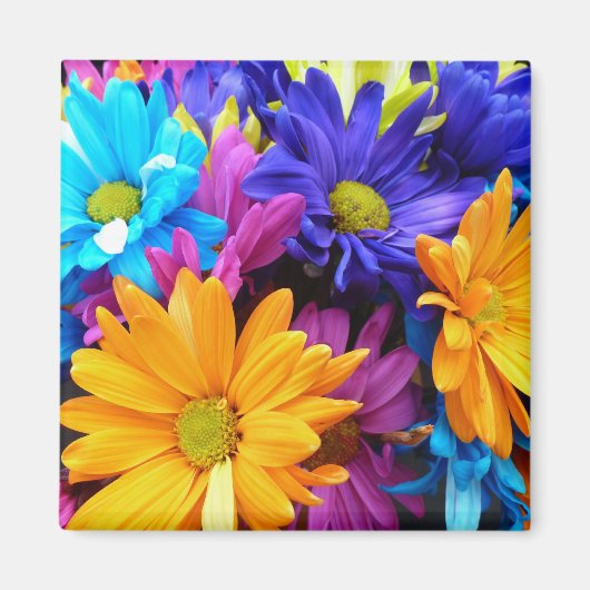 Vibrant Gerbera Daisy Bouquet Magnet (Vorne)