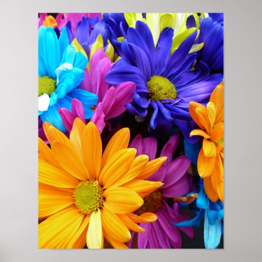 Vibrant Gerbera Daisy Bouquet Poster (Vorne)