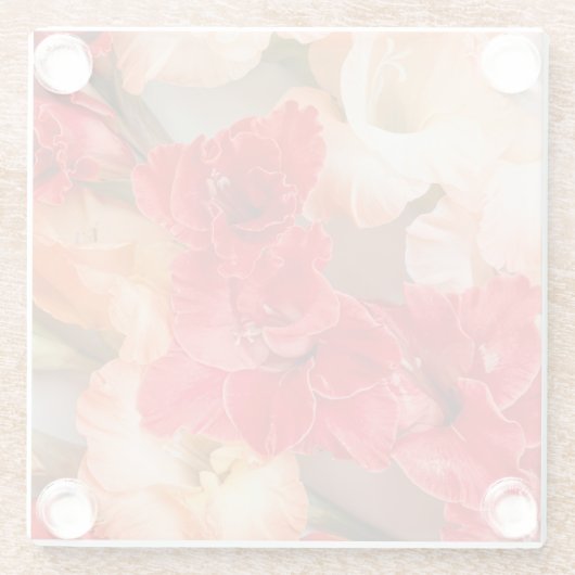 Vibrant Gladiolus flowers Glasuntersetzer (Rückseite)